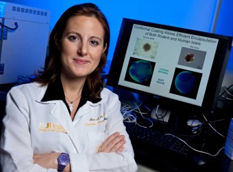 Photo of Games Cells Play: Protecting Islet Transplants