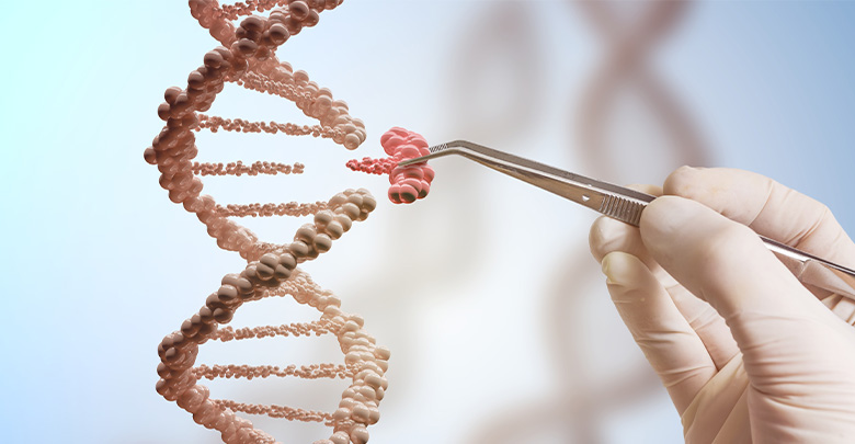 Photo of Deleting Gene in Mice Prevents T1D from Developing
