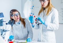 Photo of Unraveling the Genetic Components of Type 1 Diabetes